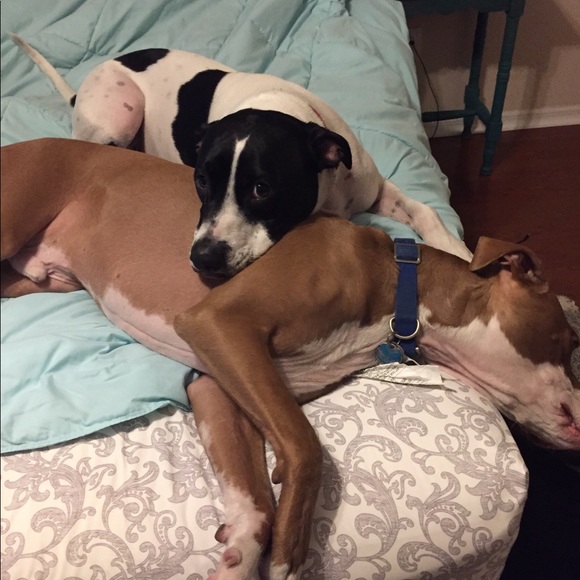 Meet your Posher, Margaret - Picture 3 of 4